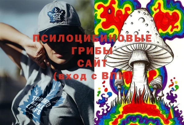 ПСИЛОЦИБИНОВЫЕ ГРИБЫ Алексеевка