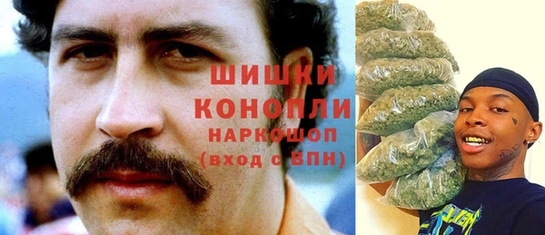 ПСИЛОЦИБИНОВЫЕ ГРИБЫ Алексеевка