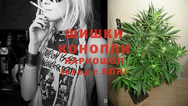 дмт Алзамай