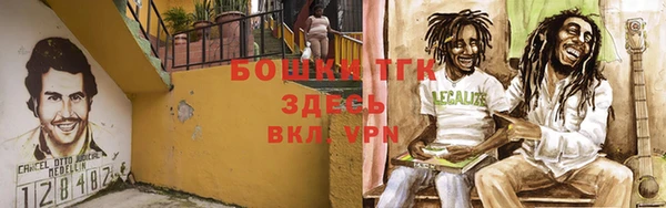 ПСИЛОЦИБИНОВЫЕ ГРИБЫ Алексеевка