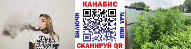 Канабис конопля  купить наркотики цена  Александровск 